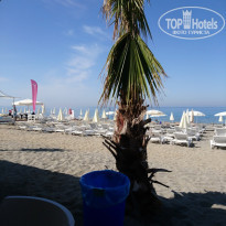 фото из отзыва ID 1955009