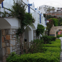 фото из отзыва ID 1955201