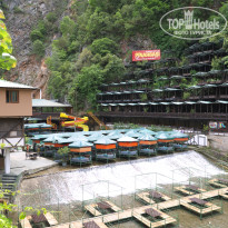 фото из отзыва ID 1955203