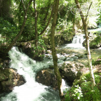 фото из отзыва ID 1955203