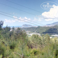 фото из отзыва ID 1955203