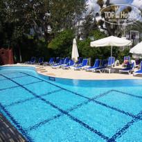 фото из отзыва ID 1955350