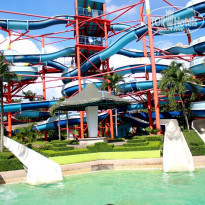 фото из отзыва ID 1955379