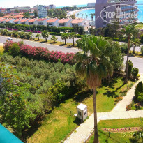 фото из отзыва ID 1955300