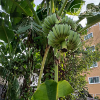 фото из отзыва ID 1955396