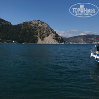 фото из отзыва ID 1955472