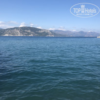 фото из отзыва ID 1955472