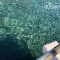 фото из отзыва ID 1955472