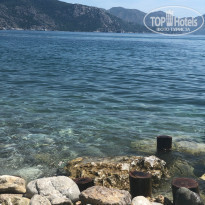 фото из отзыва ID 1955472