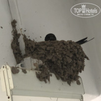 фото из отзыва ID 1955472