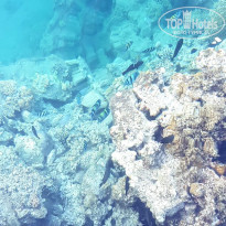 фото из отзыва ID 1955442