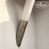 фото из отзыва ID 1955513