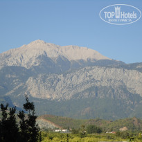 фото из отзыва ID 1955533