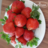 фото из отзыва ID 1955571