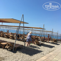 фото из отзыва ID 1955109