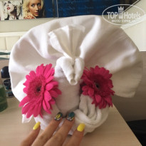 фото из отзыва ID 1955580