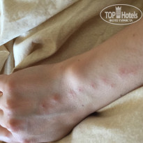 фото из отзыва ID 1955612