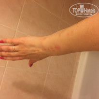 фото из отзыва ID 1955612