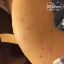 фото из отзыва ID 1955612