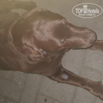 фото из отзыва ID 1955631