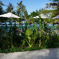 фото из отзыва ID 1955652