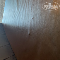 фото из отзыва ID 1955779