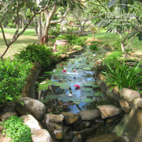 фото из отзыва ID 1955813