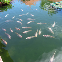 фото из отзыва ID 1955813