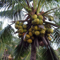 фото из отзыва ID 1955813