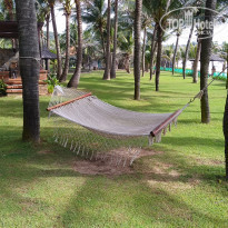 фото из отзыва ID 1955813