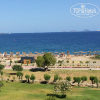 фото из отзыва ID 1955710