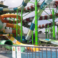 фото из отзыва ID 1955830