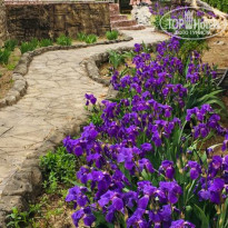 фото из отзыва ID 1955407