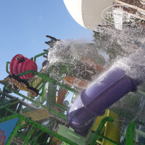 фото из отзыва ID 1955830