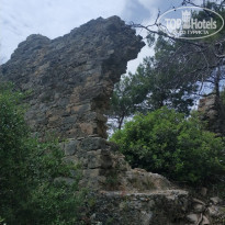 фото из отзыва ID 1955717