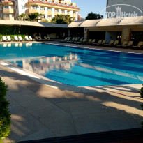 фото из отзыва ID 1956068