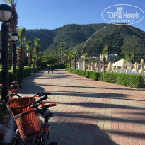 фото из отзыва ID 1956077