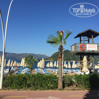 фото из отзыва ID 1956077