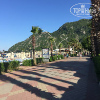 фото из отзыва ID 1956077