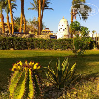 фото из отзыва ID 1956147