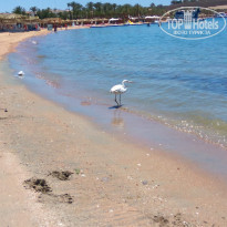 фото из отзыва ID 1956225