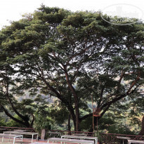 фото из отзыва ID 1956286