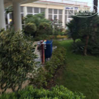 фото из отзыва ID 1956273