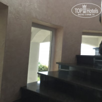 фото из отзыва ID 1956273