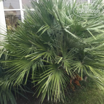 фото из отзыва ID 1956273