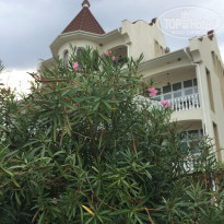 фото из отзыва ID 1956273