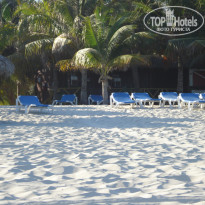 фото из отзыва ID 1956449