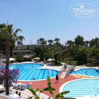 фото из отзыва ID 1956444