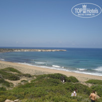 фото из отзыва ID 1956552