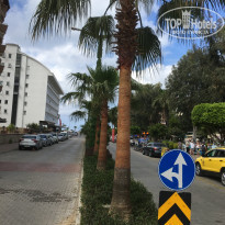 фото из отзыва ID 1956752